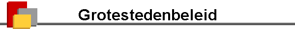 Grotestedenbeleid
